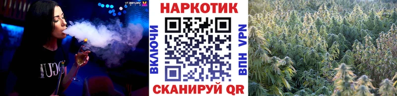 Наркошоп Элиста Галлюциногенные грибы Меф ГАШИШ