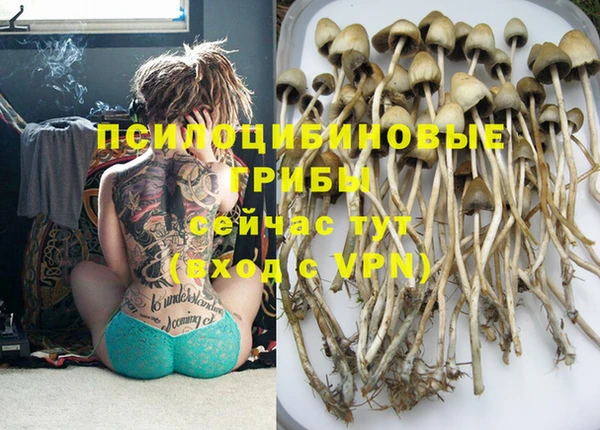 ПСИЛОЦИБИНОВЫЕ ГРИБЫ Абдулино