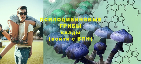 ПСИЛОЦИБИНОВЫЕ ГРИБЫ Абдулино