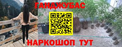эйфоретик Нарткала