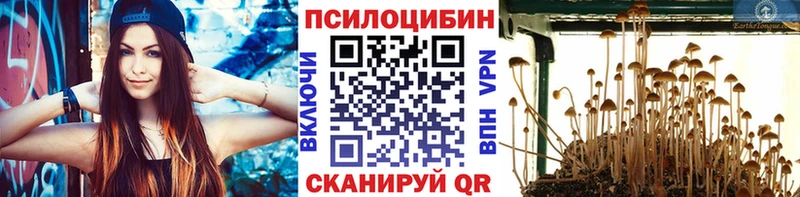продажа наркотиков  Элиста  Галлюциногенные грибы прущие грибы 