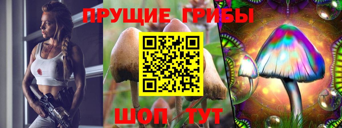 Элиста  Галлюциногенные грибы прущие грибы  где можно купить   Вход с VPN 